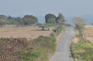 Camino El Fósforo, en el sector más rural de la PR 304, en Lajas. / Foto por: Fernando Silva