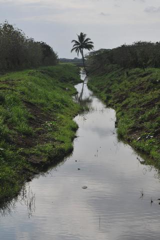 Canal de riego en el valle de Lajas. / Foto por: Carlos Iván Silva