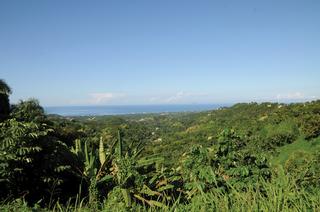 Vista panorámica desde la montaña de Rincón. / Foto por: Rosemarie Vázquez