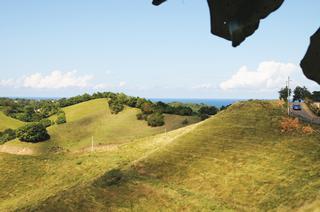 Paisaje rupestre en la montaña de Rincón. / Foto por: Rosemarie Vázquez