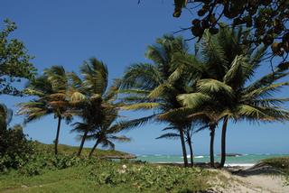 Playa de Loíza. / Foto por: Ricardo Alcaraz