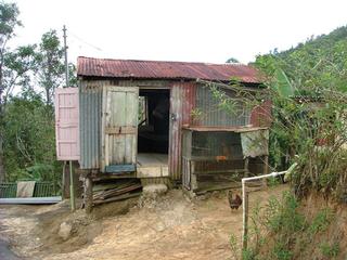 Aunque parezca una fotos de los años 50, esta es una escena de nuestra ruralía boricua... esta casa, en Cayey. / Foto por: Ricardo Alcaraz