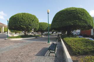 Plaza pública de Cayey. / Foto por: Ricardo Alcaraz