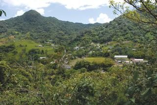 Cerro Picacho en la Comunidad de San Salvador, en Caguas. / Foto por: Ricardo Alcaraz